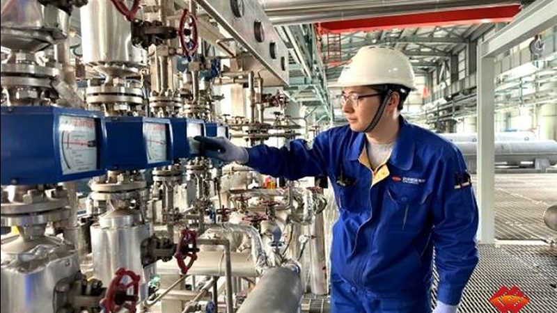 常见精馏塔型号解析：揭秘化工行业的“蒸馏大师